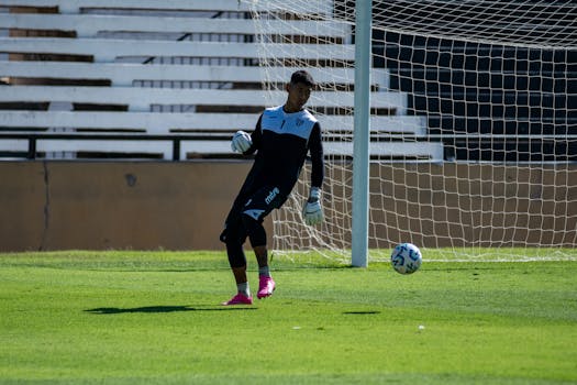 Goalkeeper preparing for a penalty kick