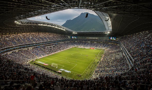 crowd cheering at a soccer match