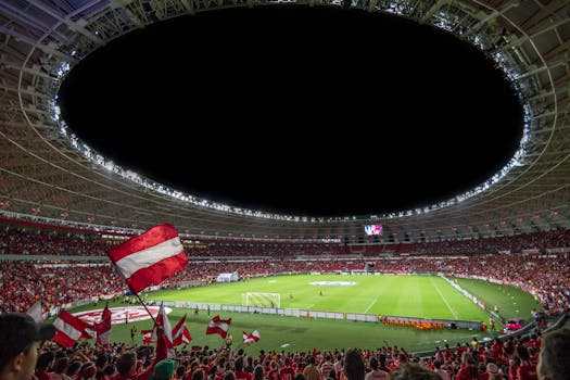 Fans celebrating during a soccer match