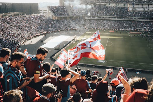 soccer fans watching a game