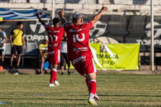 Fans celebrating a goal