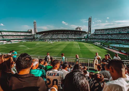 soccer fans cheering in the stands