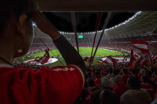 soccer fans cheering with scarves