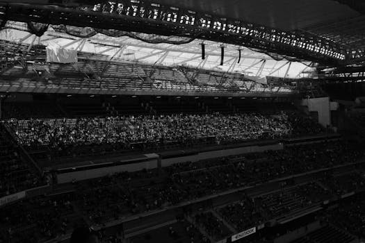 A vibrant soccer match with cheering fans