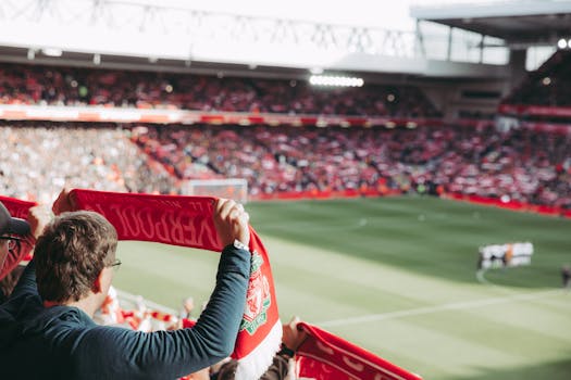 fans cheering with scarves