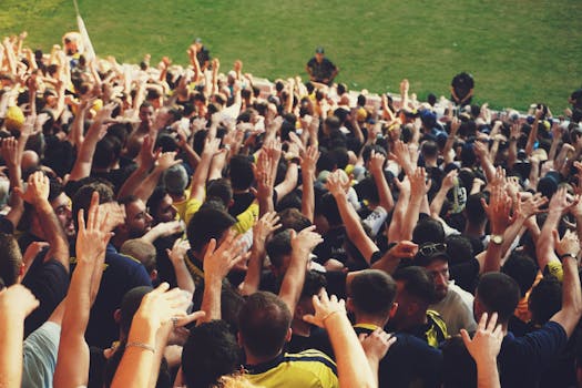 excited fans in stadium cheering