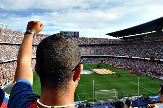 crowd cheering at a soccer match