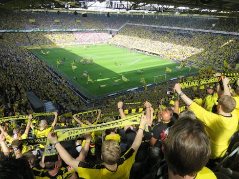 celebration in a packed stadium