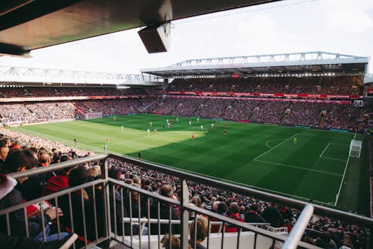 Soccer fans enjoying a match